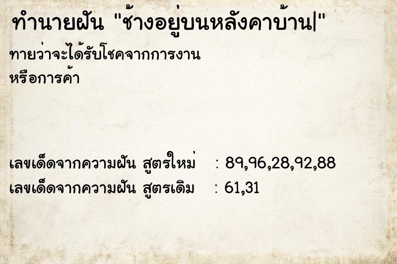 ทำนายฝันทำนายฝันช้างอยู่บนหลังคาบ้าน|